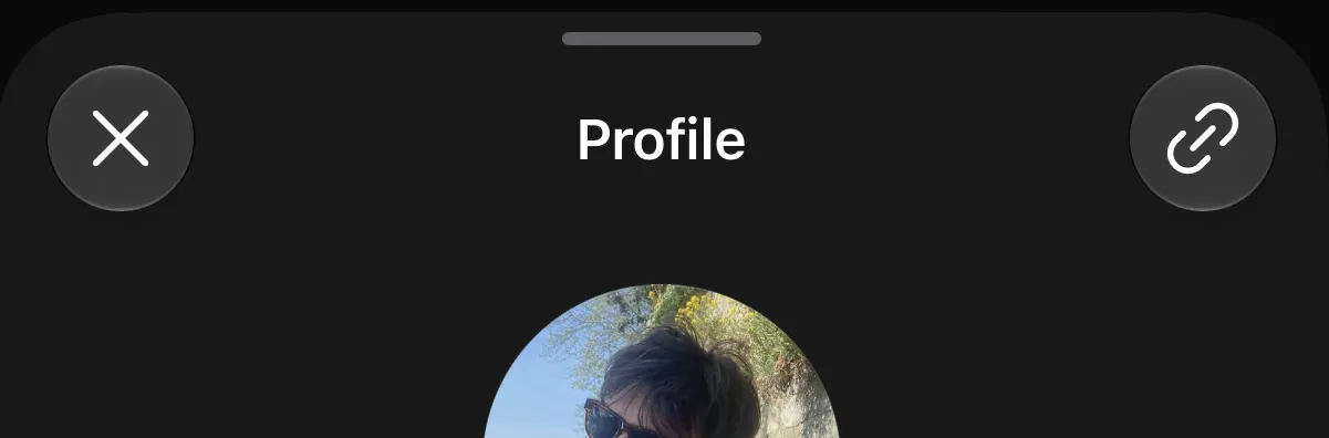 Profile sheet grabber